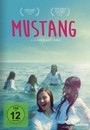 Mustang Mustang