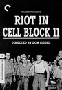 Riot In Cell Block 11 - Criterion Collection Riot In Cell Block 11 - Criterion Collection