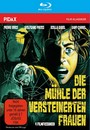 Die Mühle Der Versteinerten Frauen - Blu-Ray Disc - 4 Filmfassungen Collector's Edition
